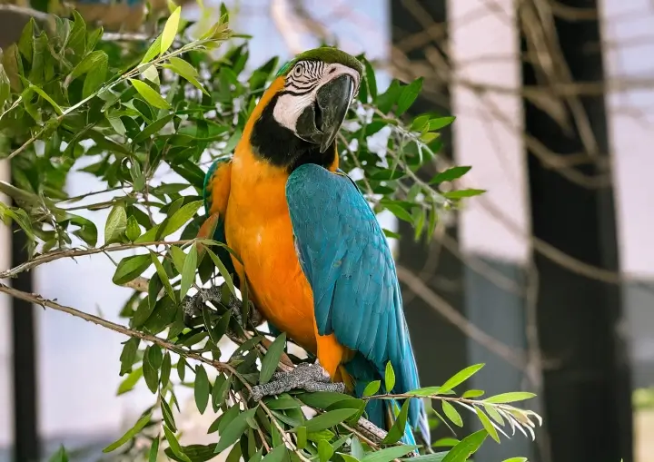 refugio-das-aves-parque-tres-pescadores-01 (1)