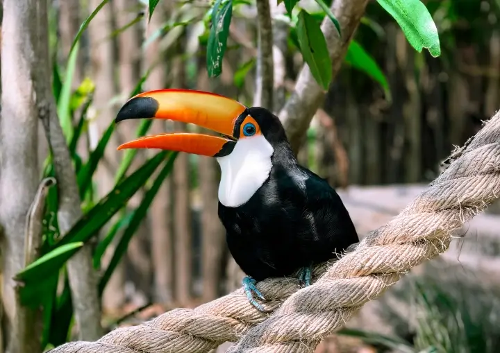 refugio-das-aves-parque-tres-pescadores-03