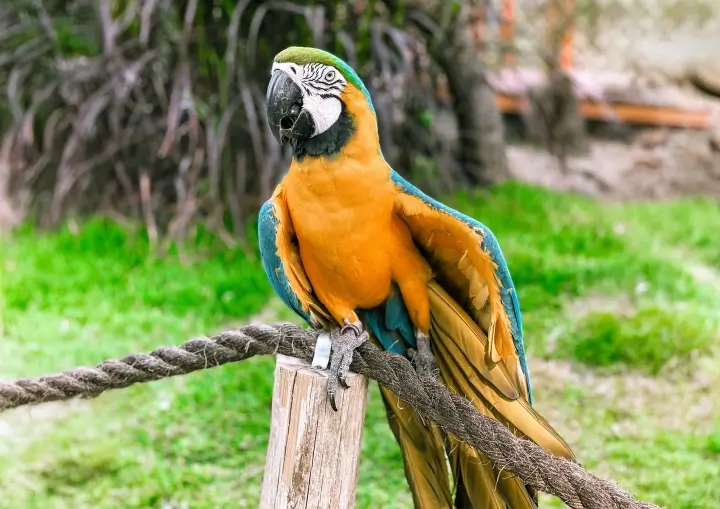 refugio-das-aves-parque-tres-pescadores-09